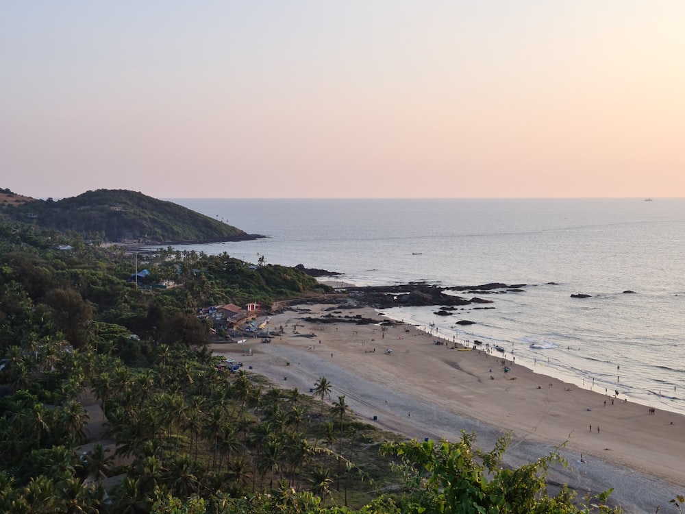 Green Trees Near North Goa Beach During Daytime