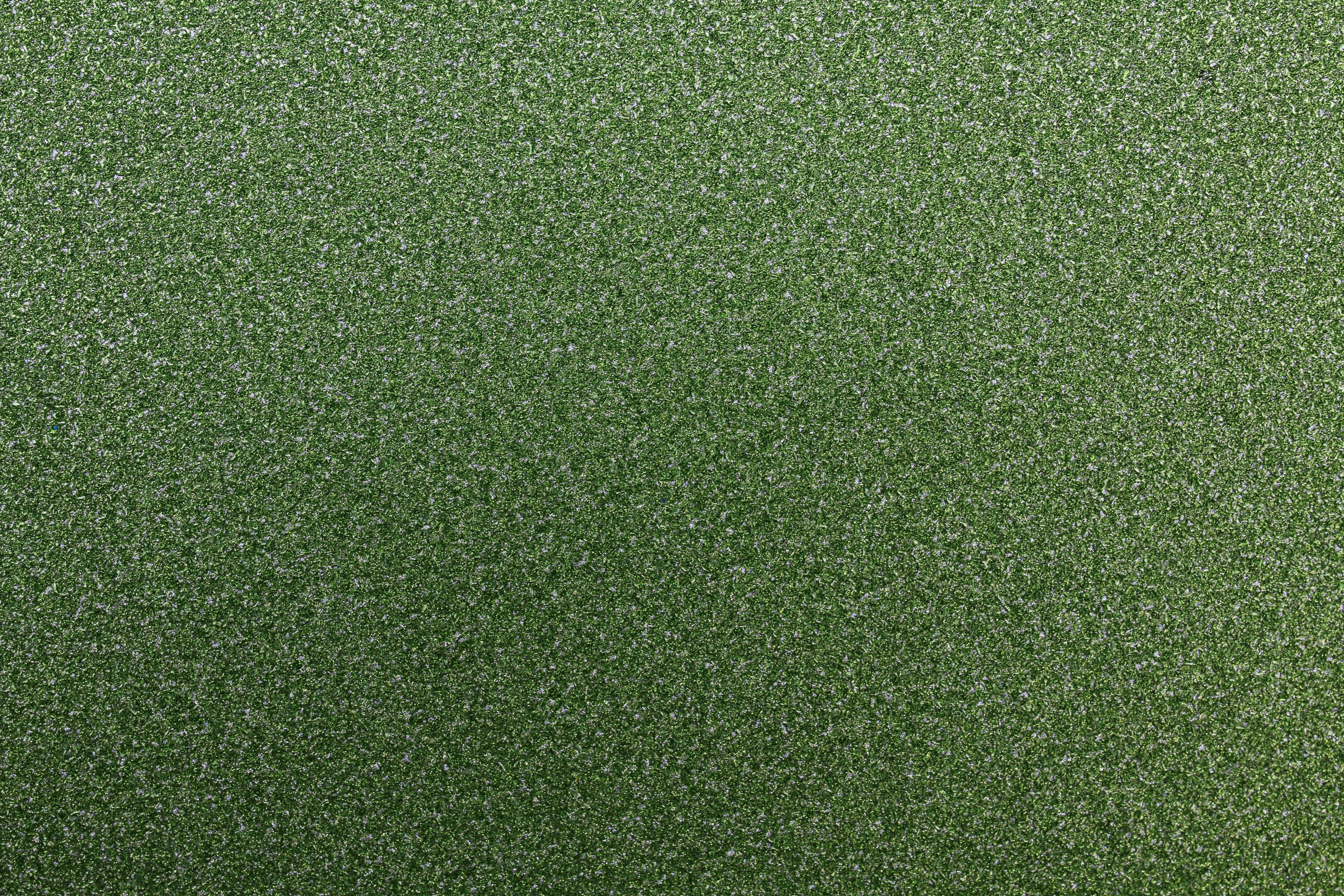 Photo by tamanna_rumee