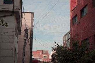 Urban alleyway between buildings with overhead wires converging at a utility pole. The buildings have a mix of red brick and beige facades. Some greenery is visible in the foreground, and the sky is partly cloudy.