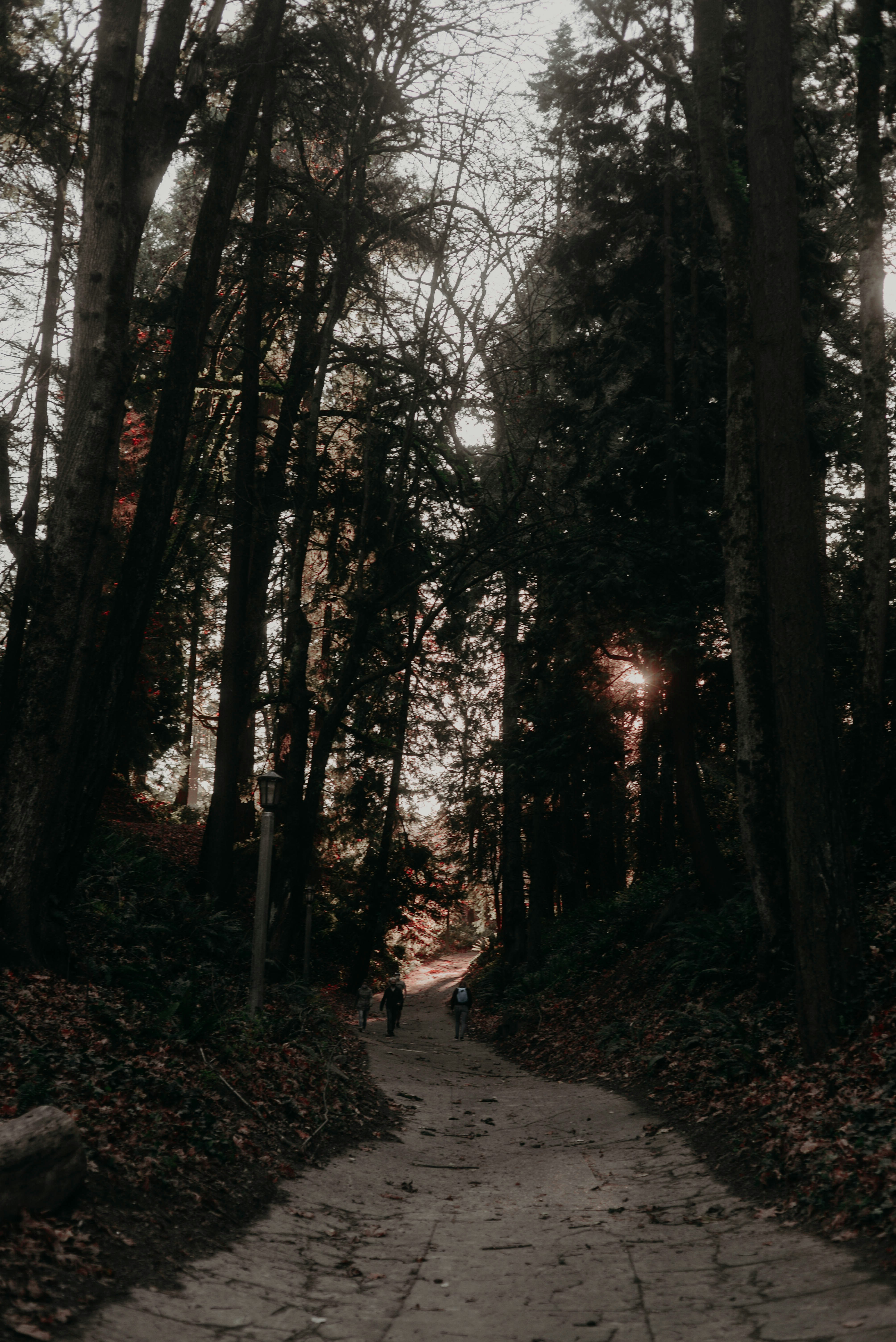 Photo by lorencutler