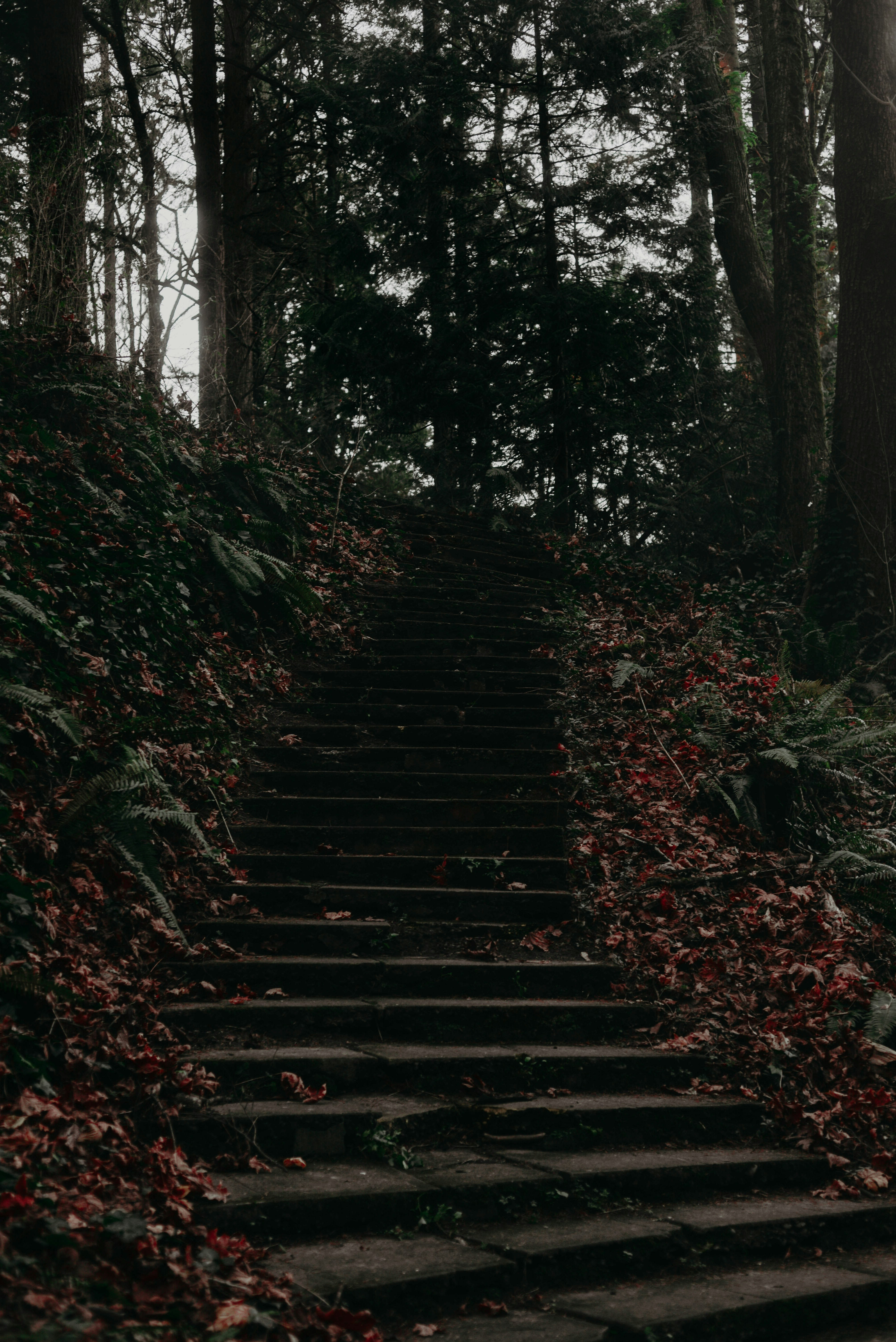 Photo by lorencutler