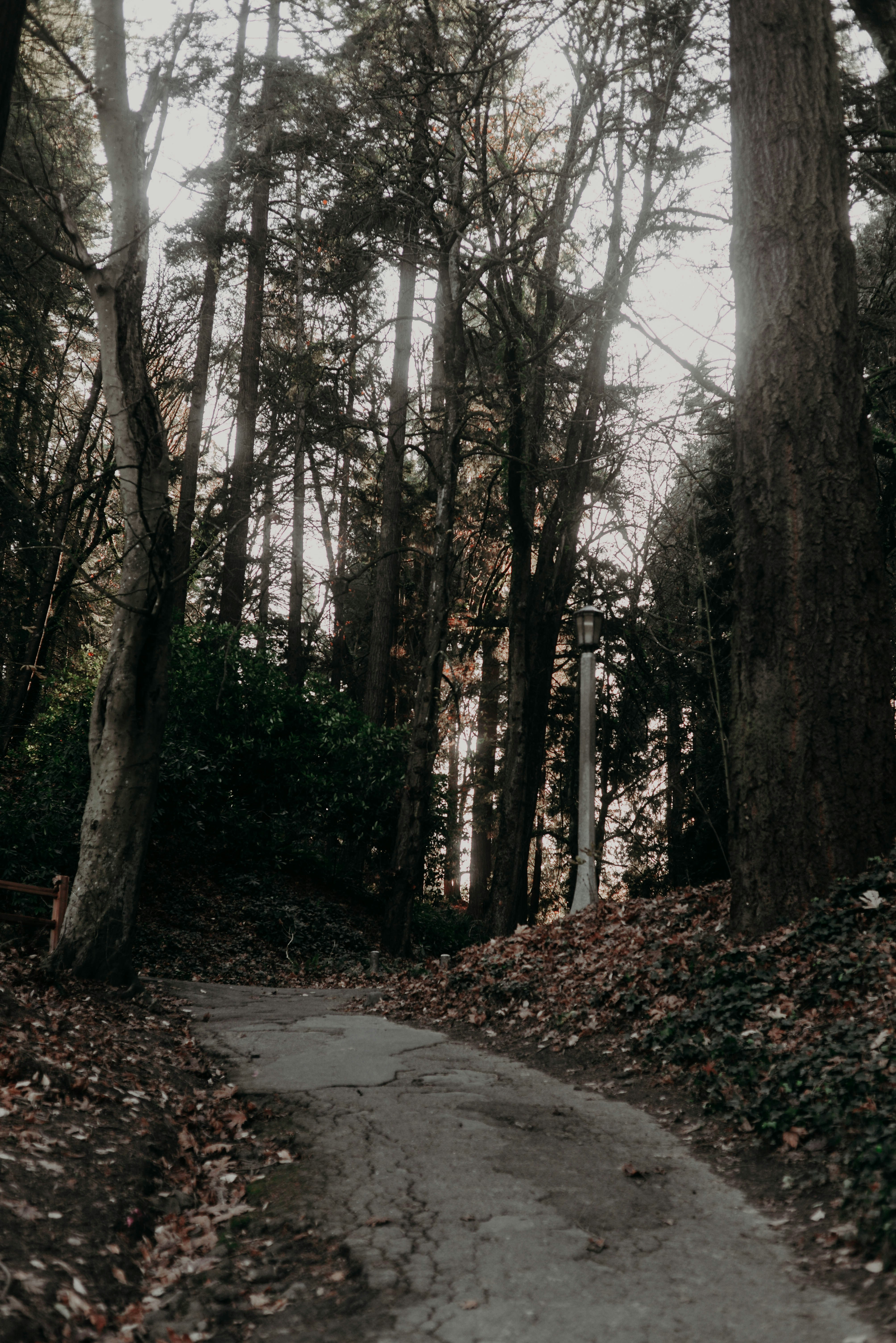 Photo by lorencutler