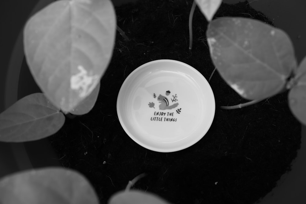 grayscale photo of white ceramic round plate