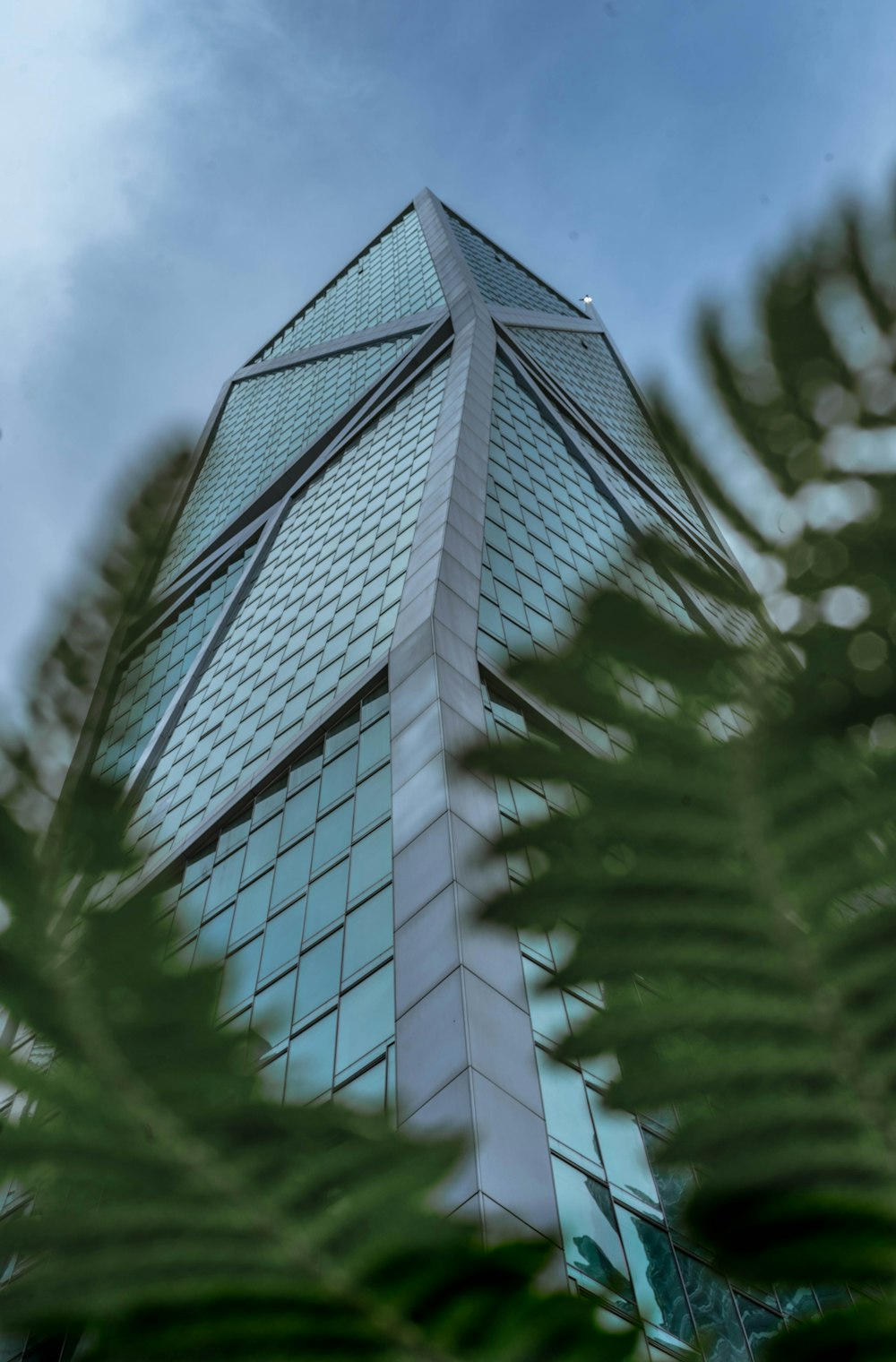 green leaves near glass building