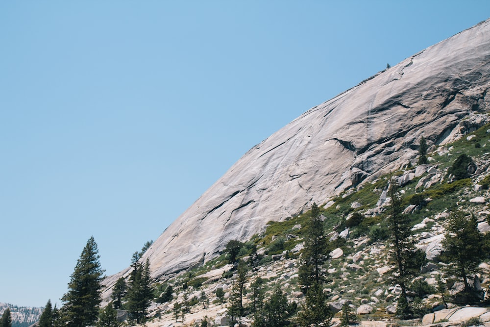 green pine trees on brown mountain under blue sky during daytime