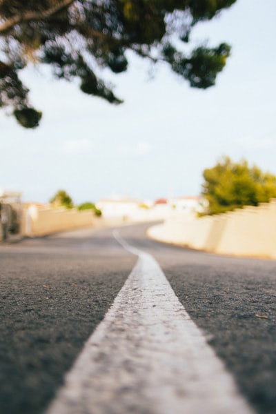 gray asphalt road between green trees during daytime