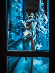 A shop window dressed with twinkling string lights and charming reindeer figures.