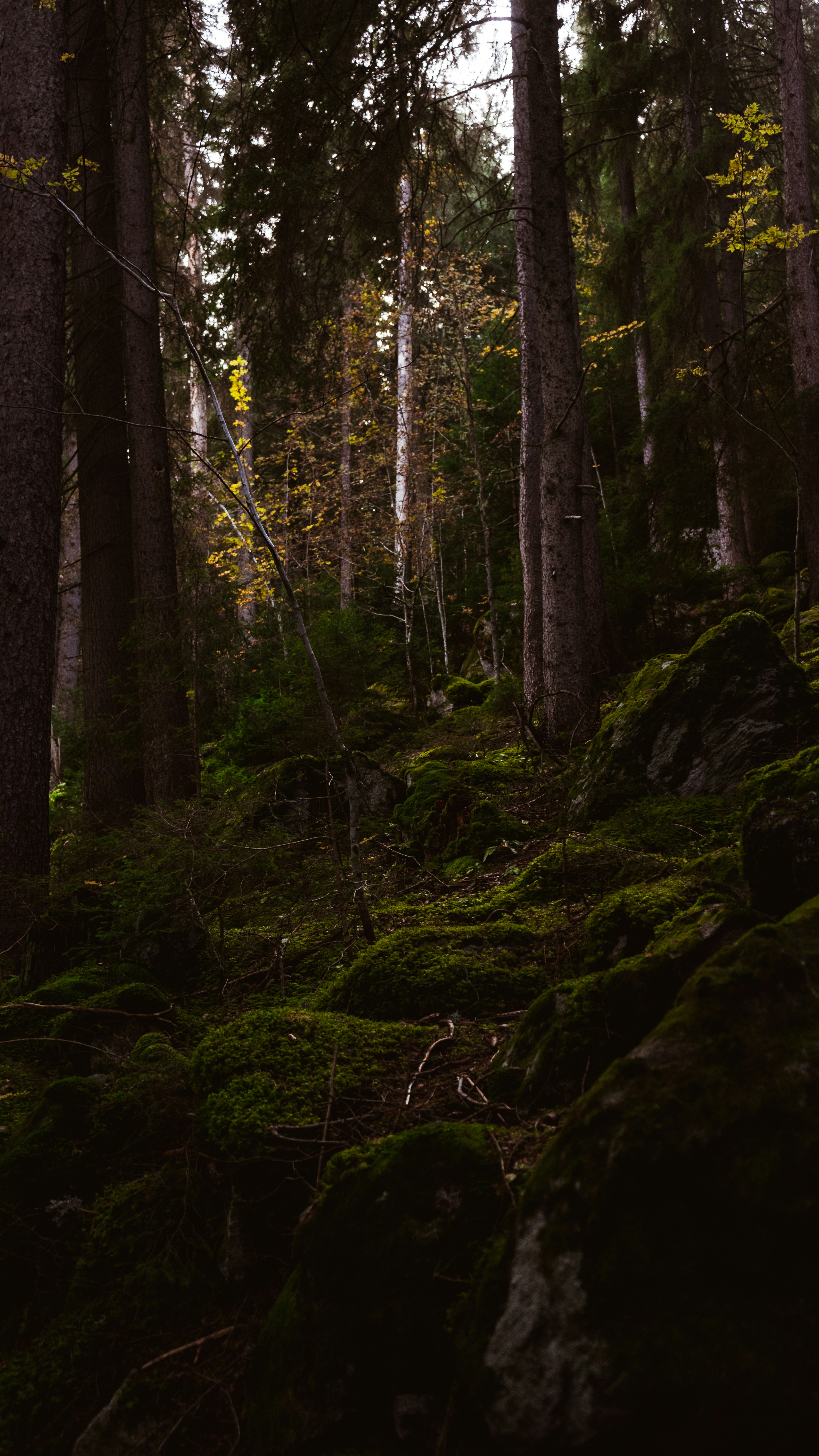 Photo by virussinside