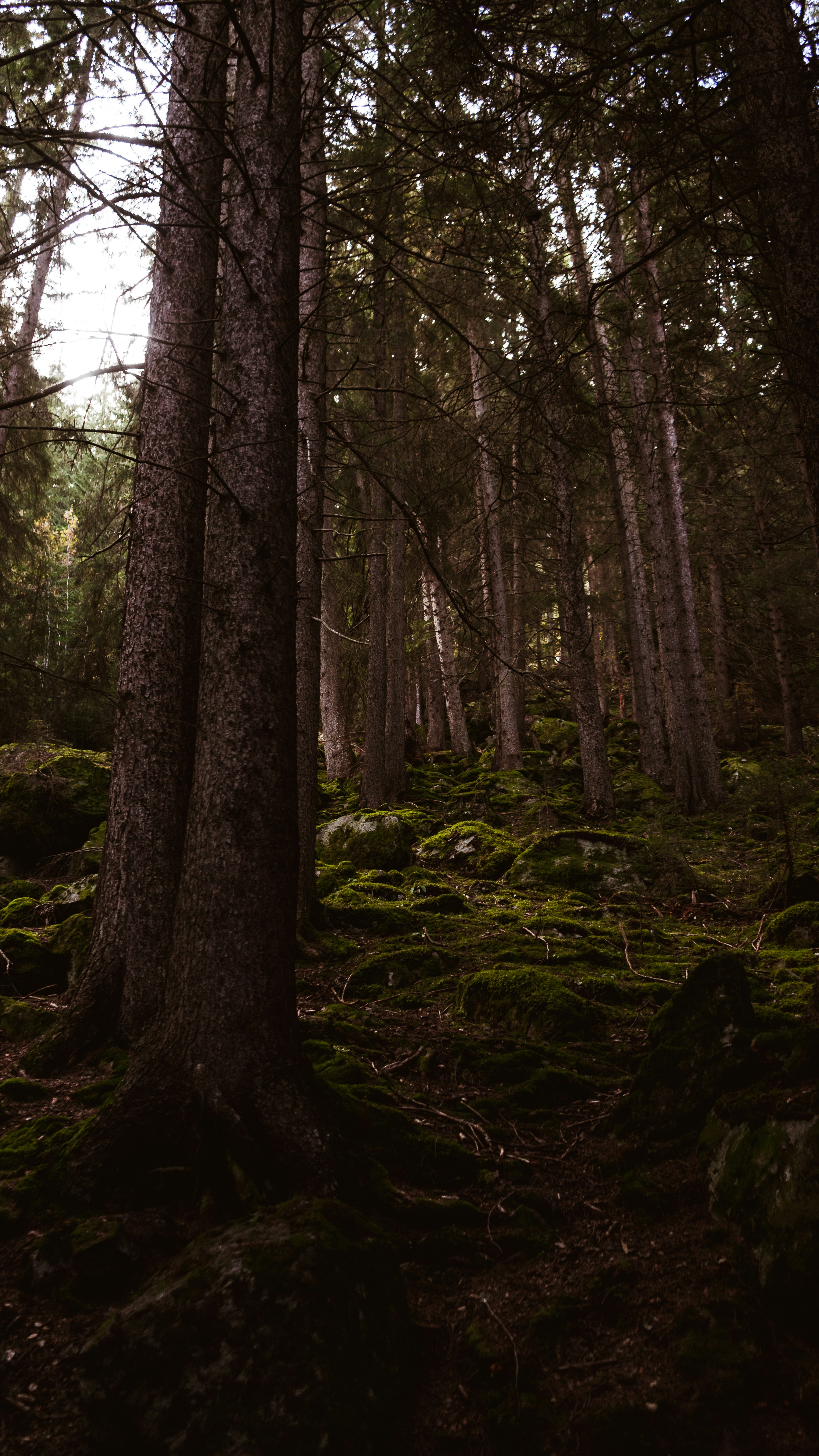 Photo by virussinside