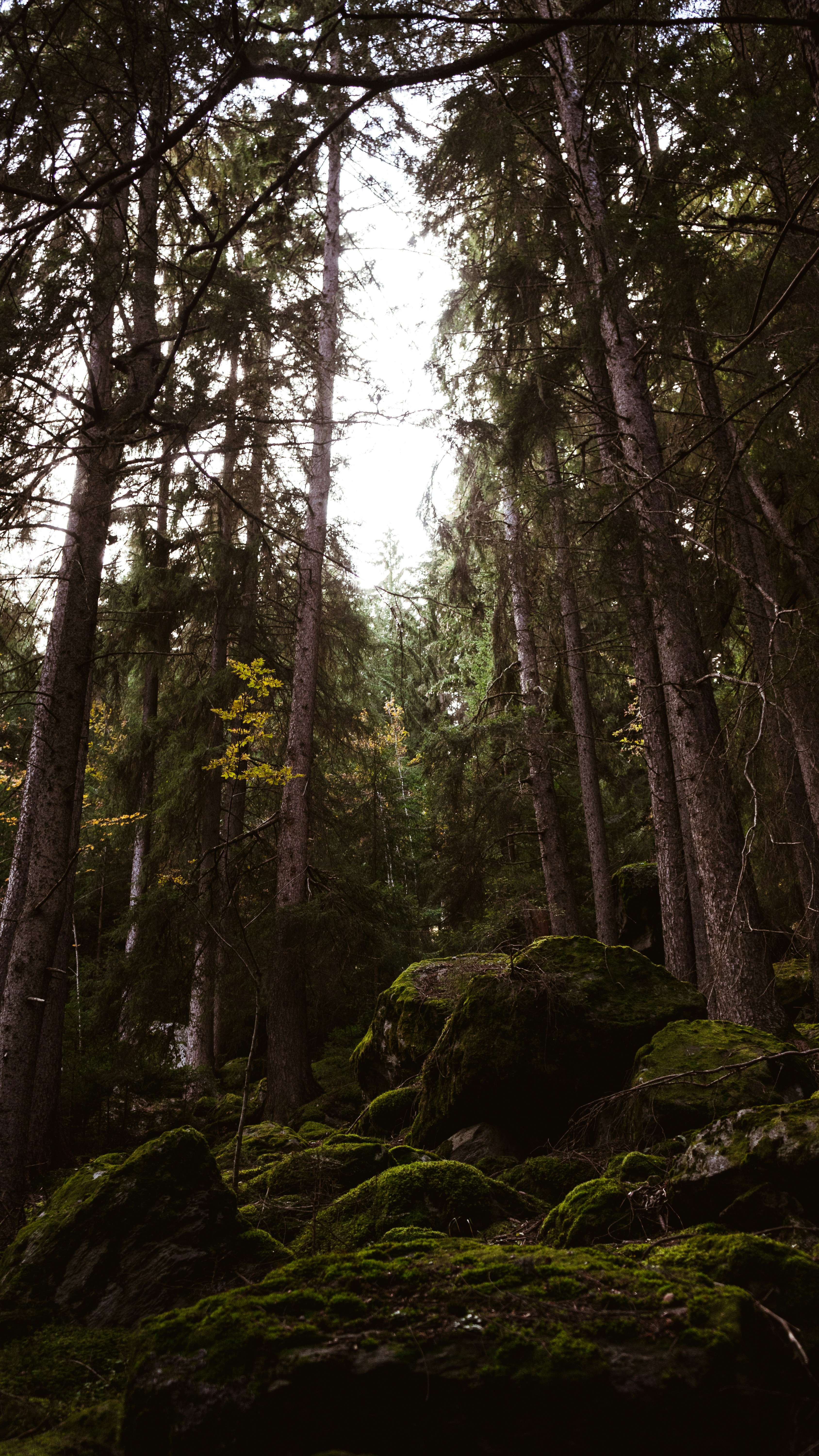 Photo by virussinside