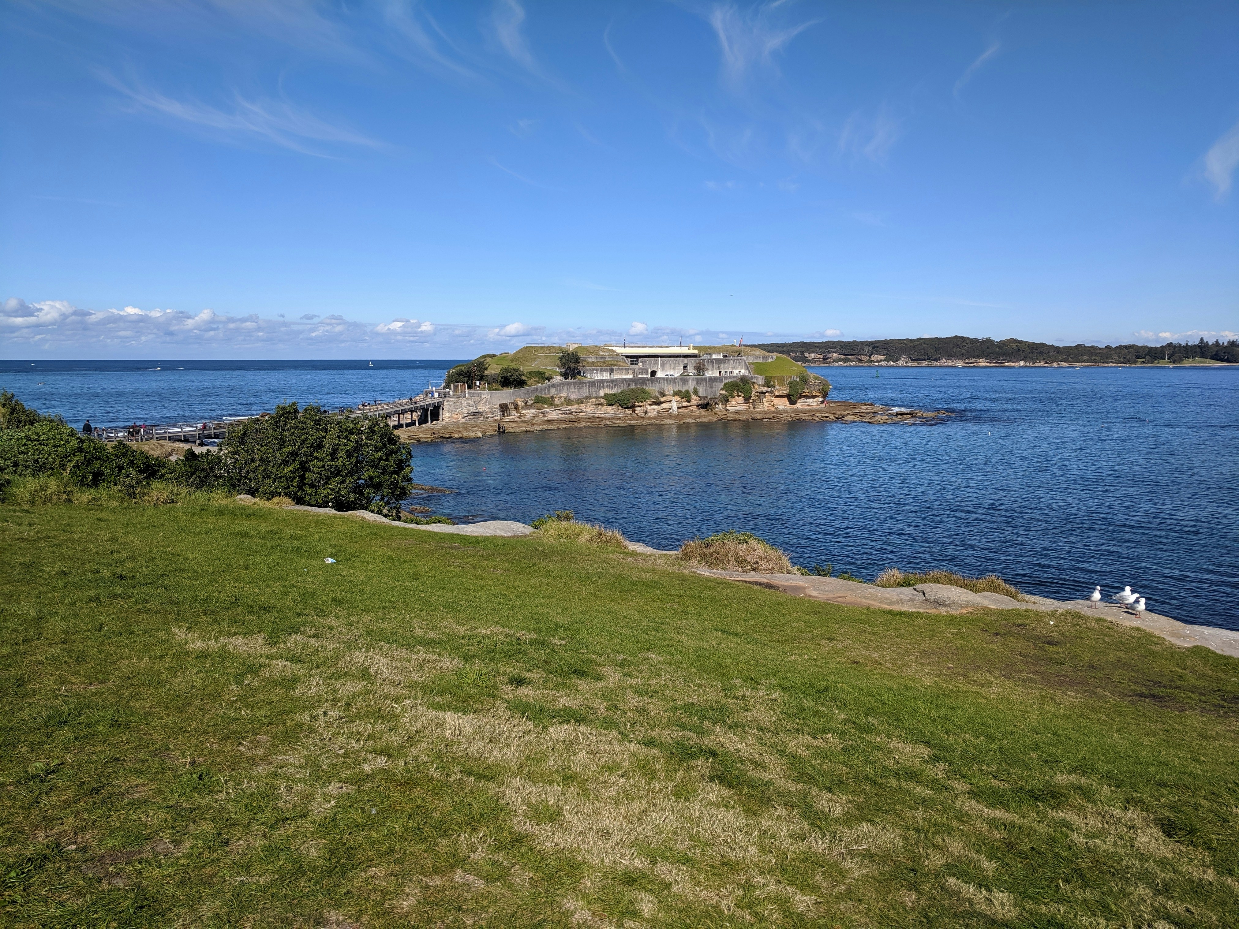 green grass field near body of water under blue sky during daytime