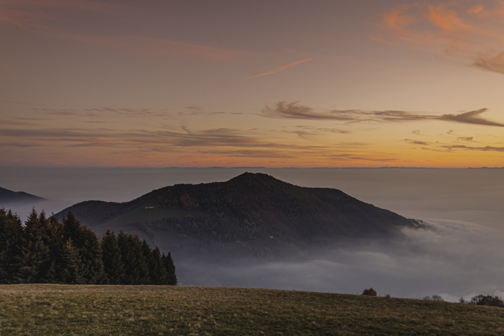 green trees near mountain under cloudy sky during daytime