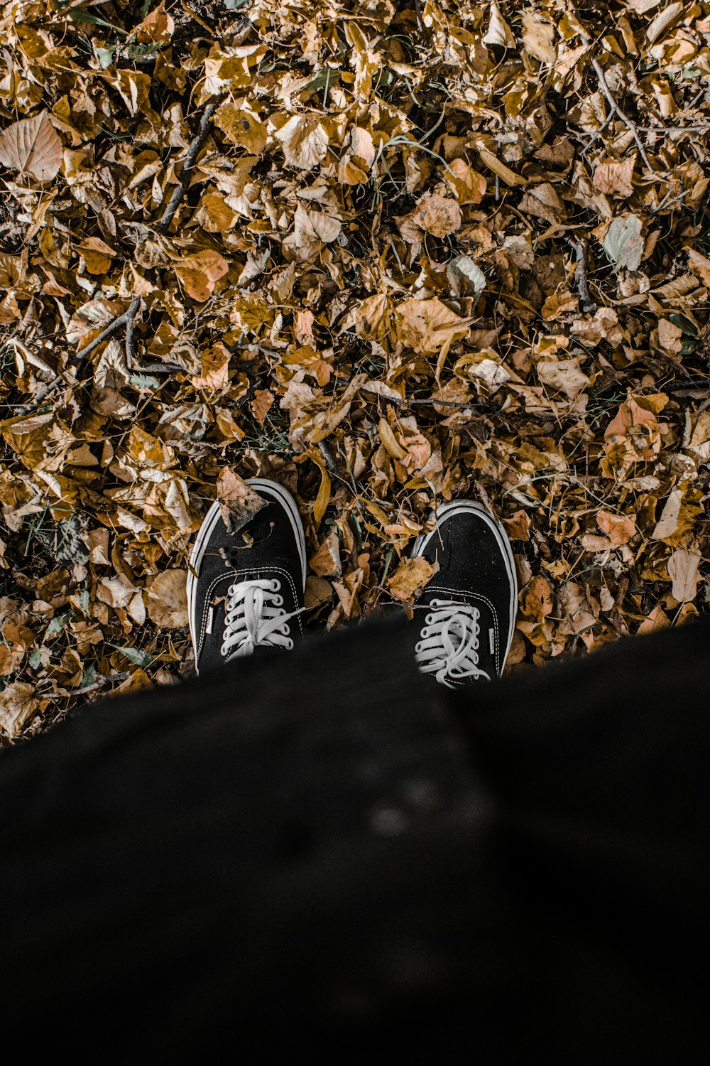 person wearing black and white sneakers