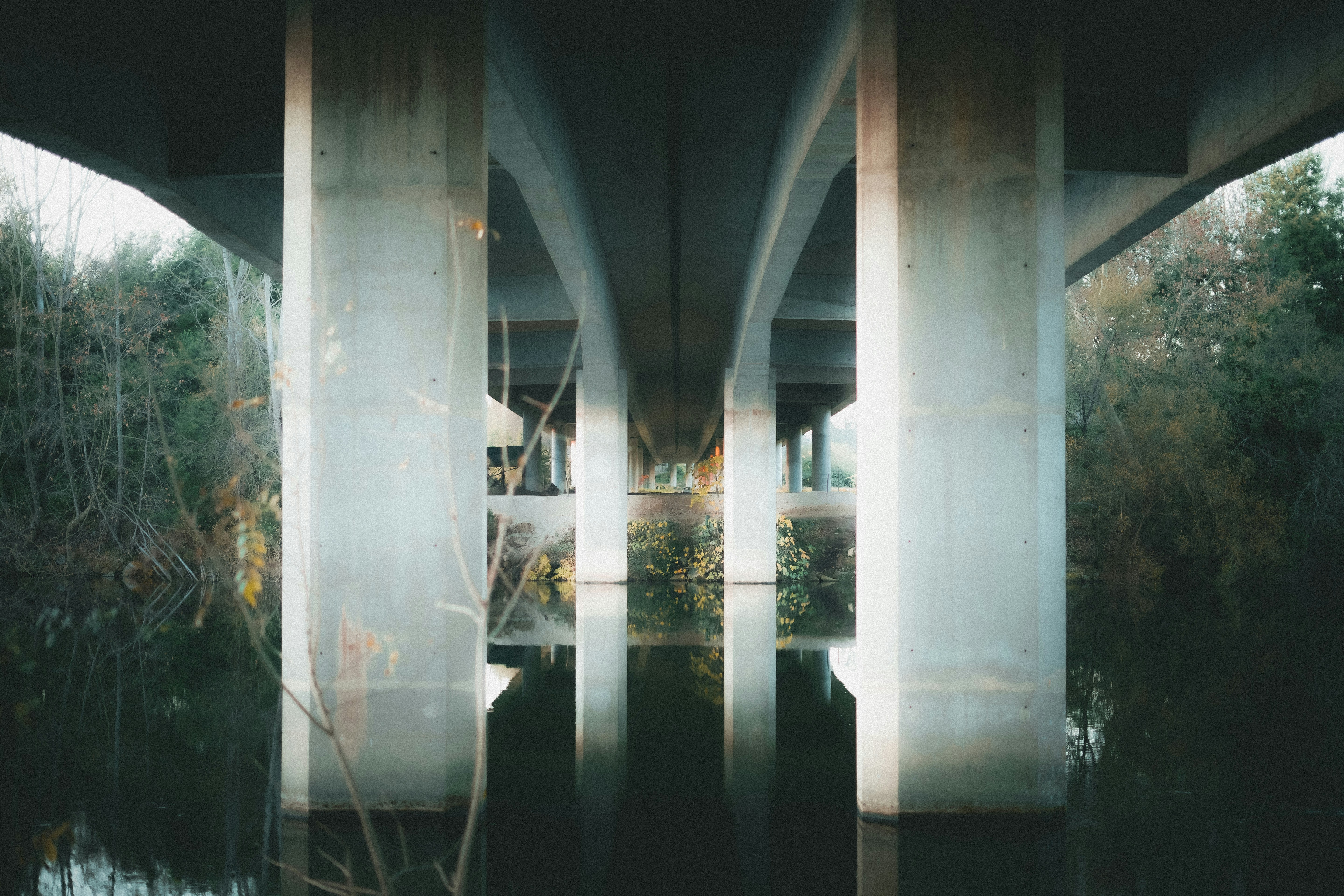 Photo by lawlesscapture