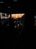 A dimly lit waiting area with rows of empty chairs facing large windows. The sun is setting outside, casting an orange glow through the glass. Silhouettes of palm trees and a fence are visible, adding depth to the scene.