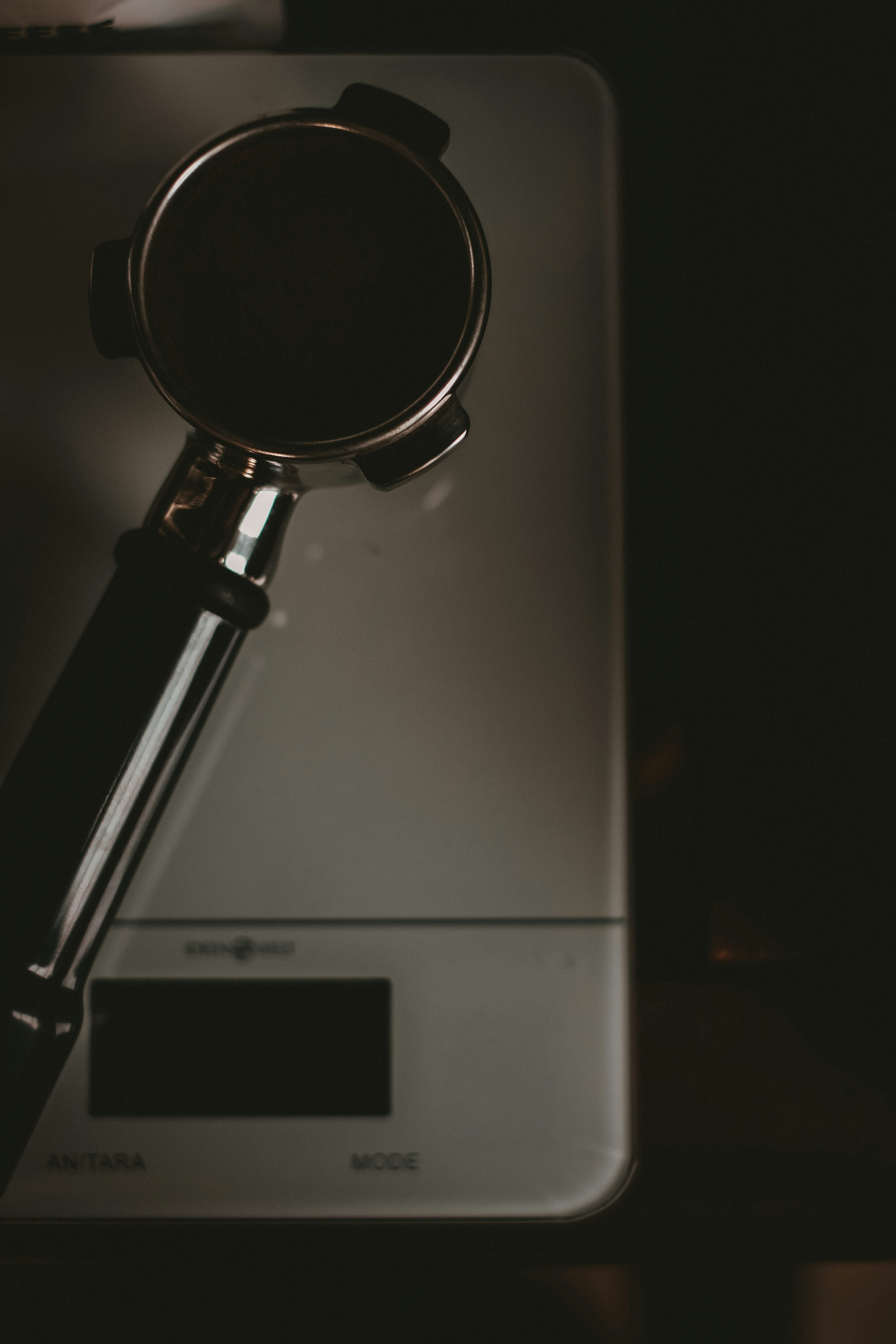 Photo by pollypommes