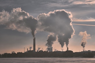 Pollution