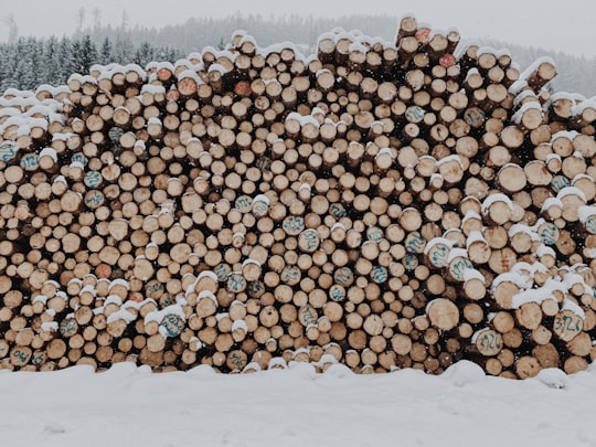 pile of brown wooden logs on snow covered ground in Turracher Höhe Austria