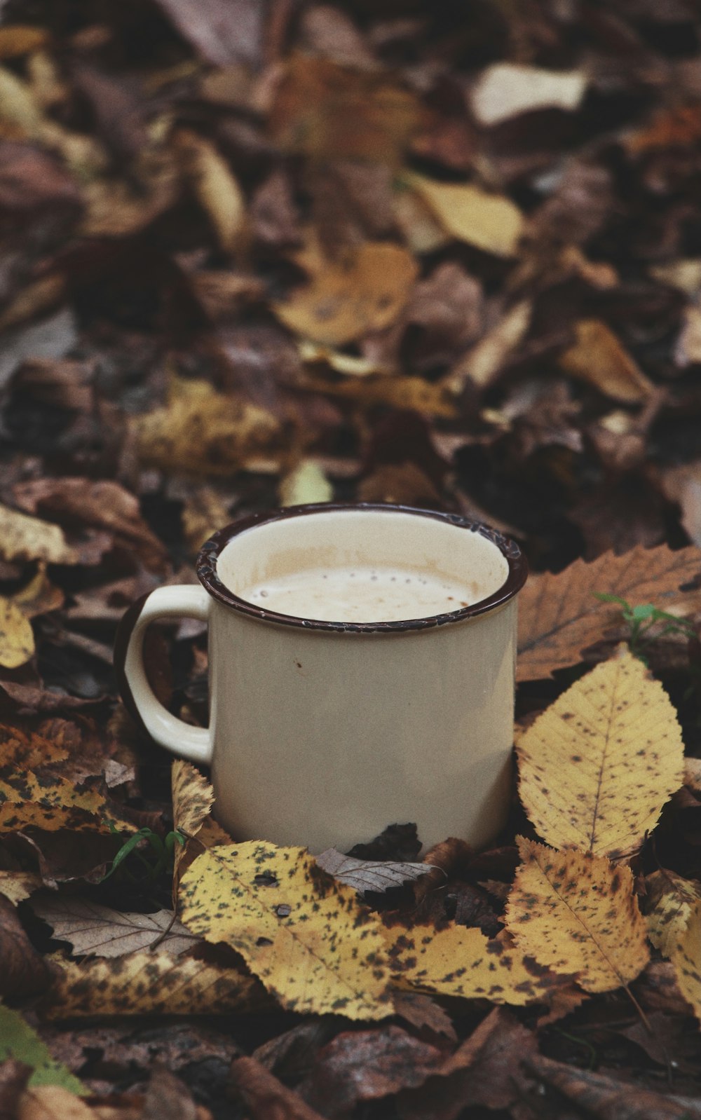 white ceramic mug on dried leaves