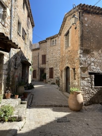 brown clay pot on gray concrete road