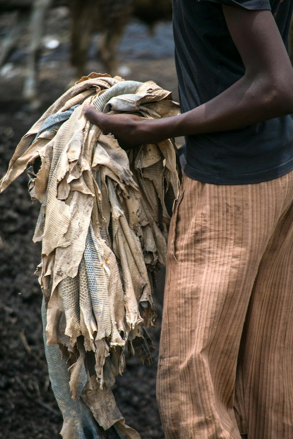 Goat Sheep Leather