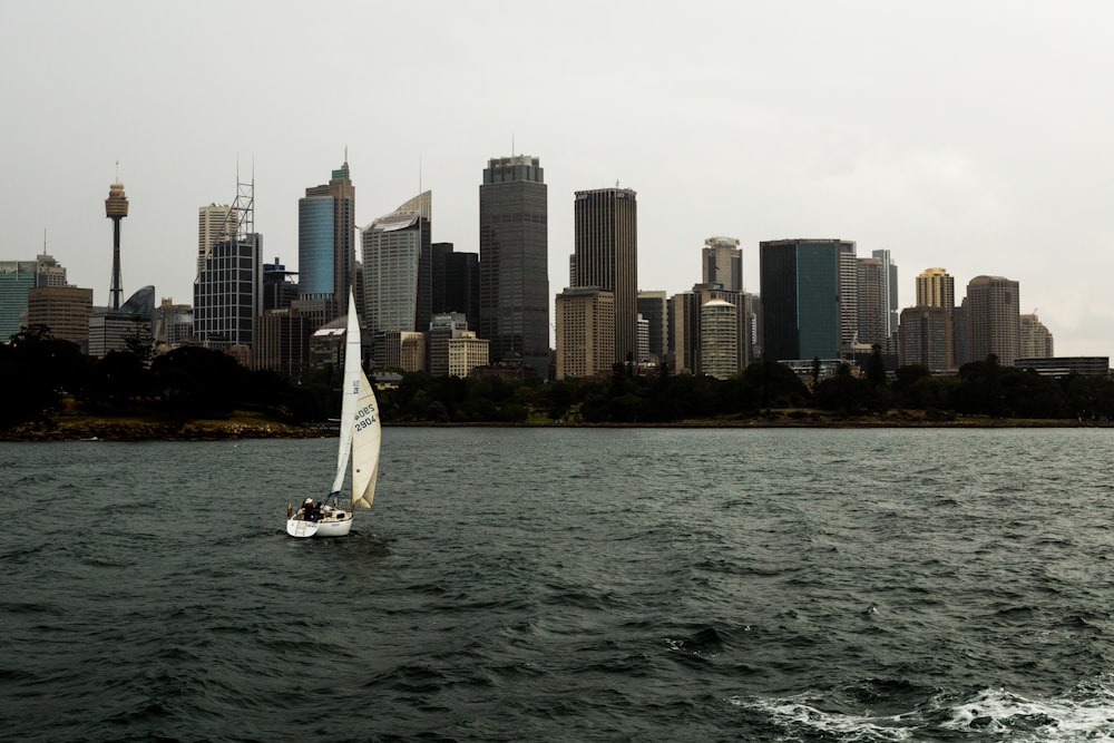 white sailboat on sea near city buildings during daytime
