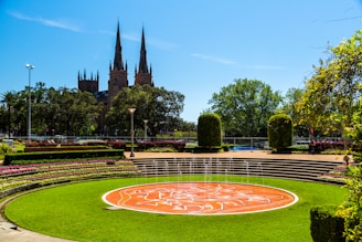 A sunny garden with a well-maintained lawn.