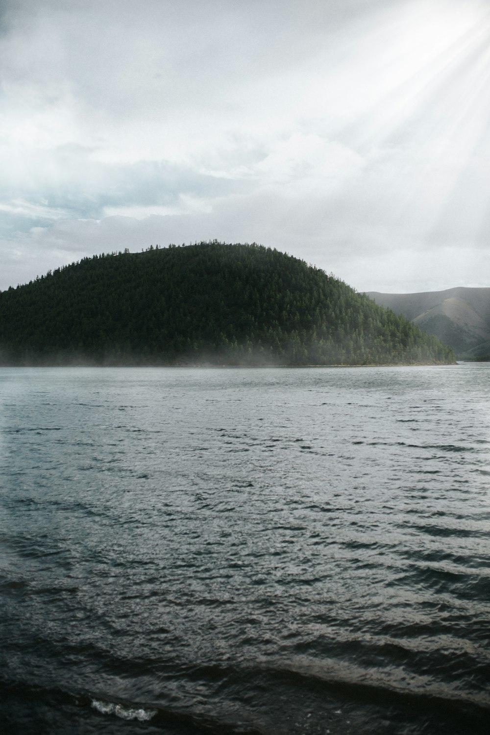 green trees beside body of water under cloudy sky during daytime