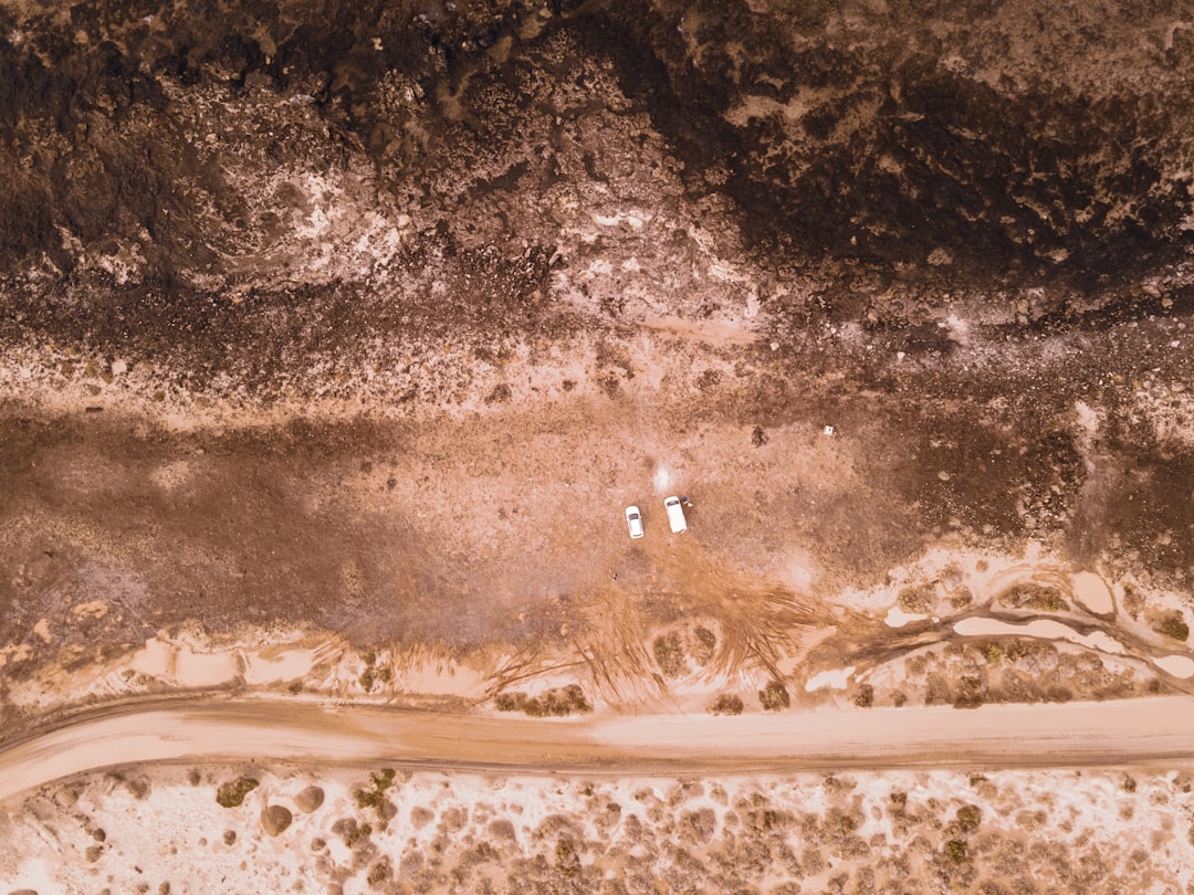 aerial view of people surfing on beach during daytime