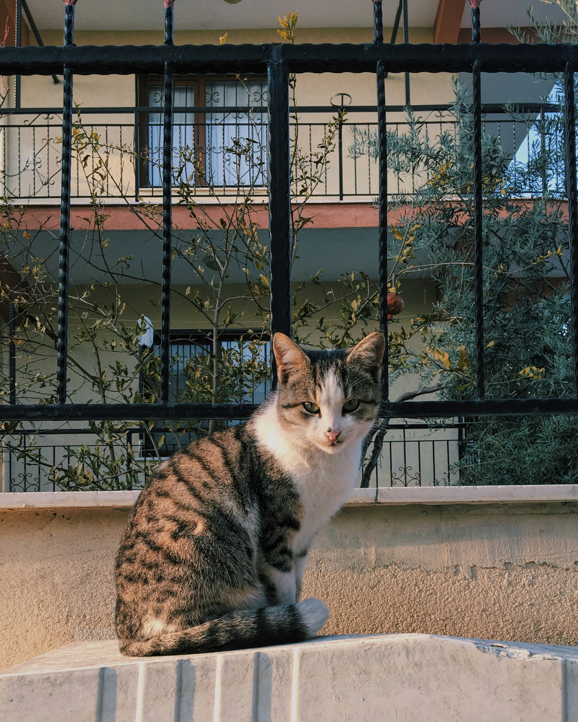 Photo by yasavepaylas