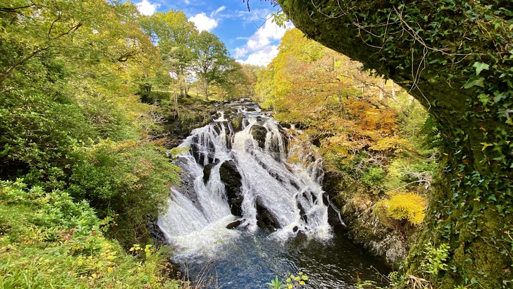 green grass and trees near waterfalls under blue sky during daytime