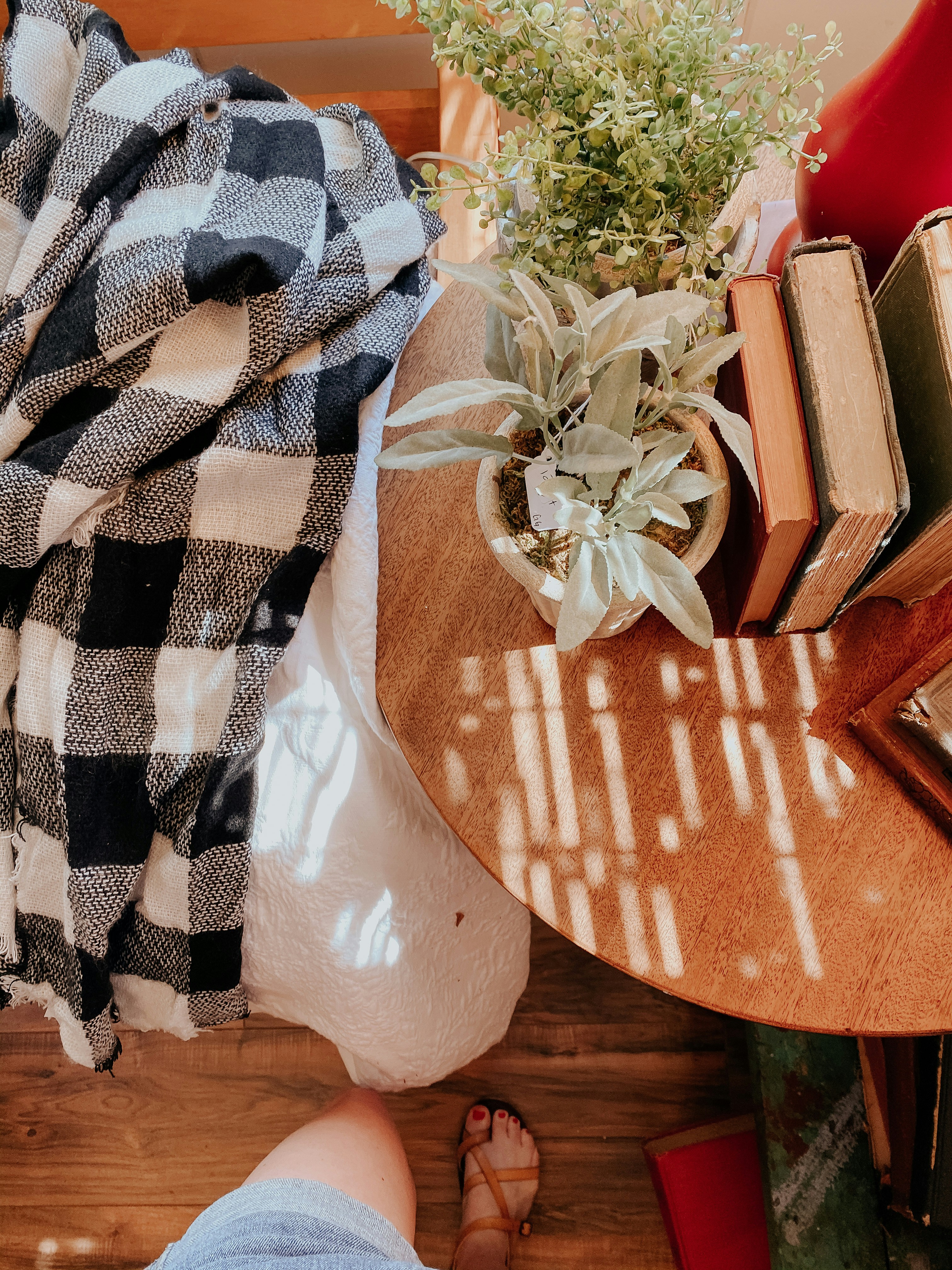 Photo by thewildflowerpress