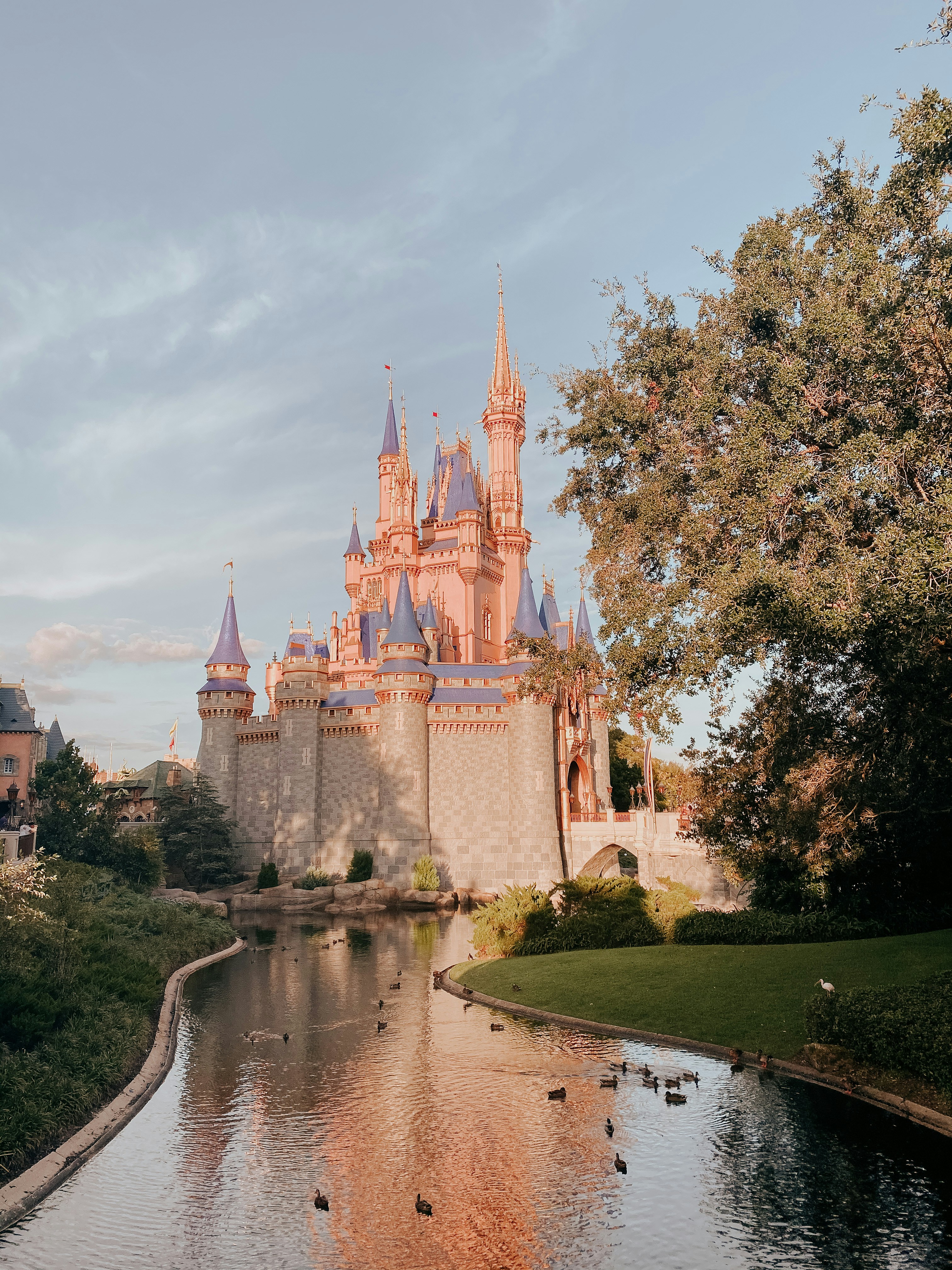 Photo by thewildflowerpress