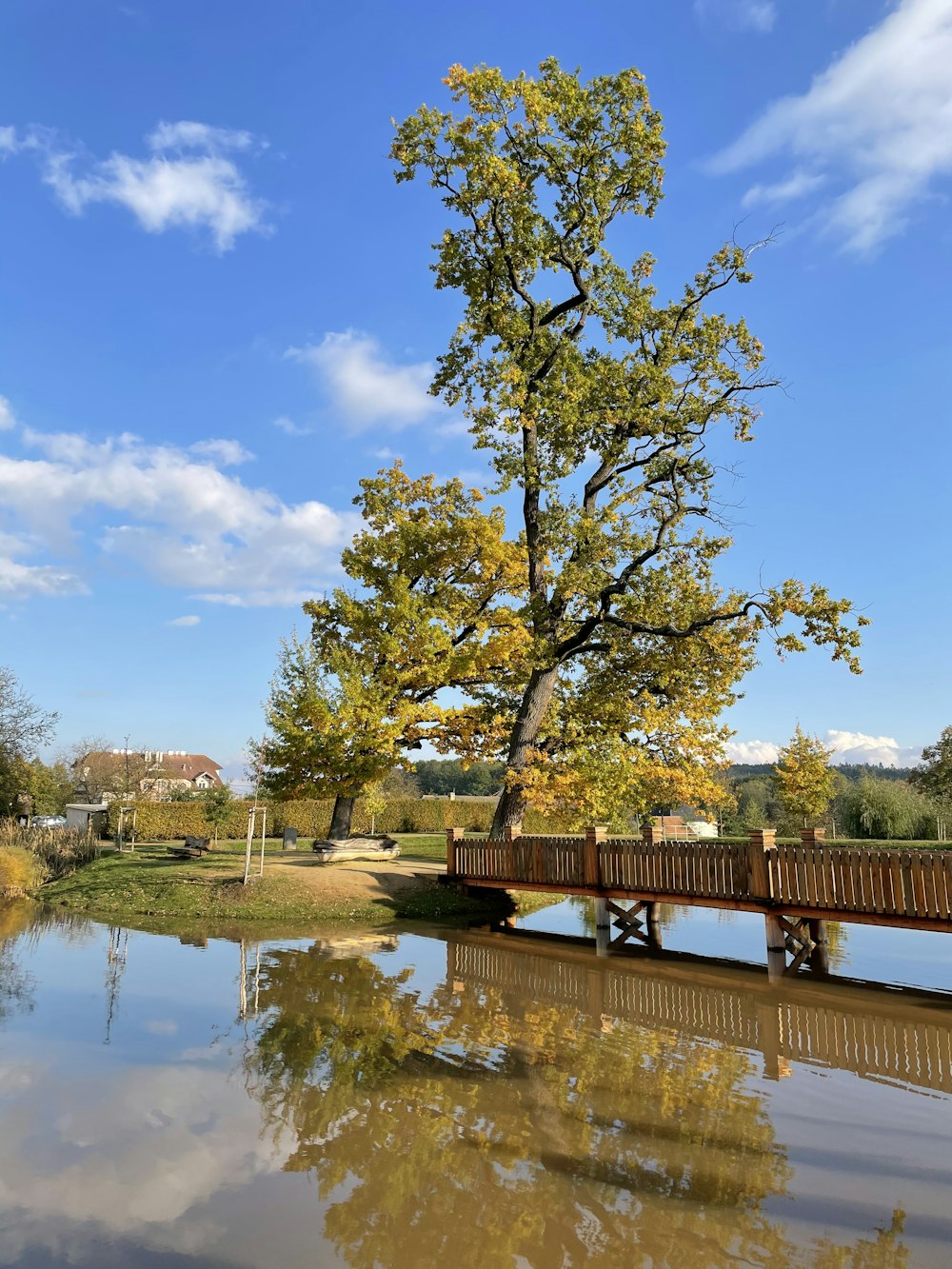 brown wooden bench near green trees and river during daytime