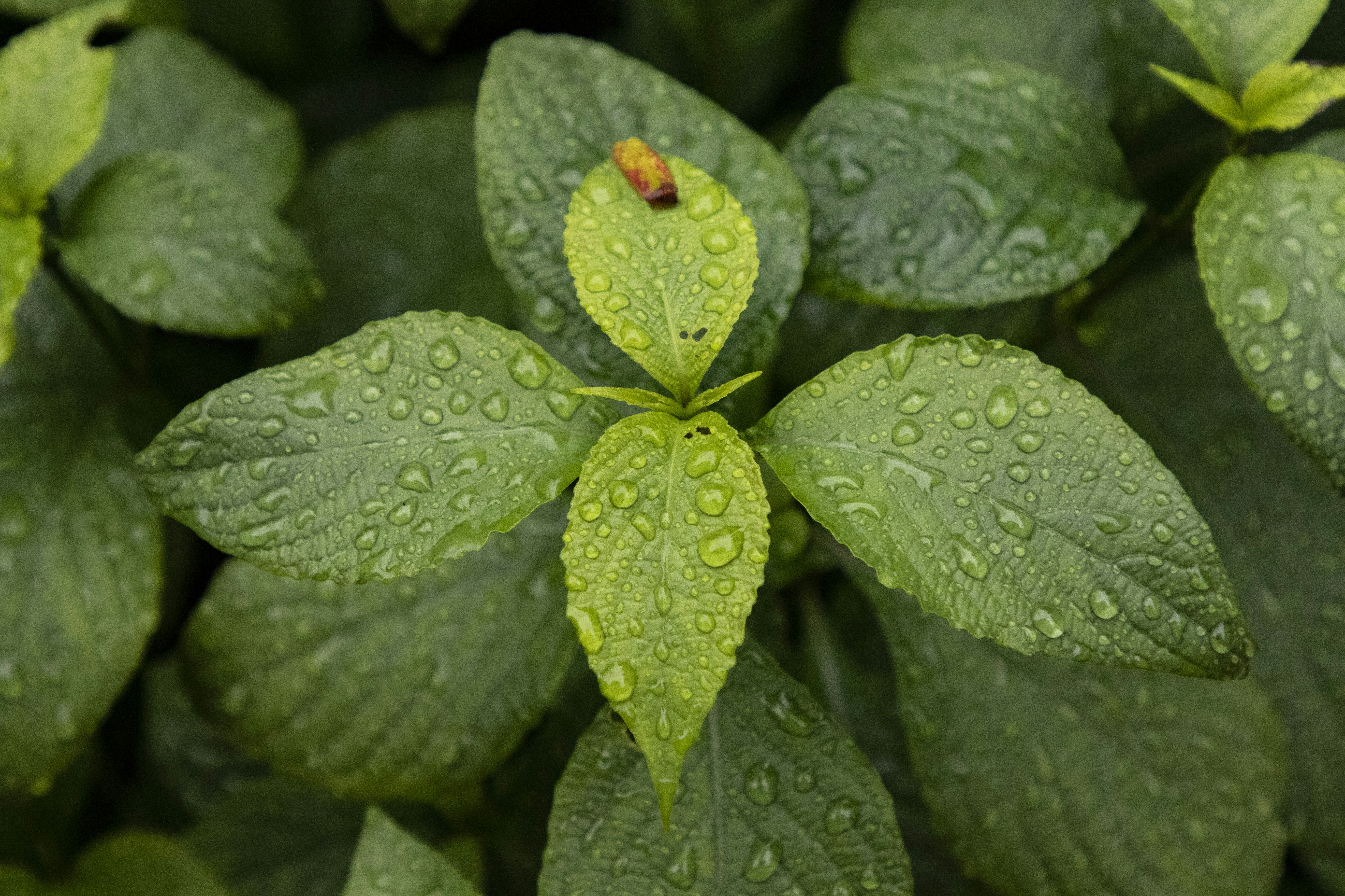 Photo by rocinante_11