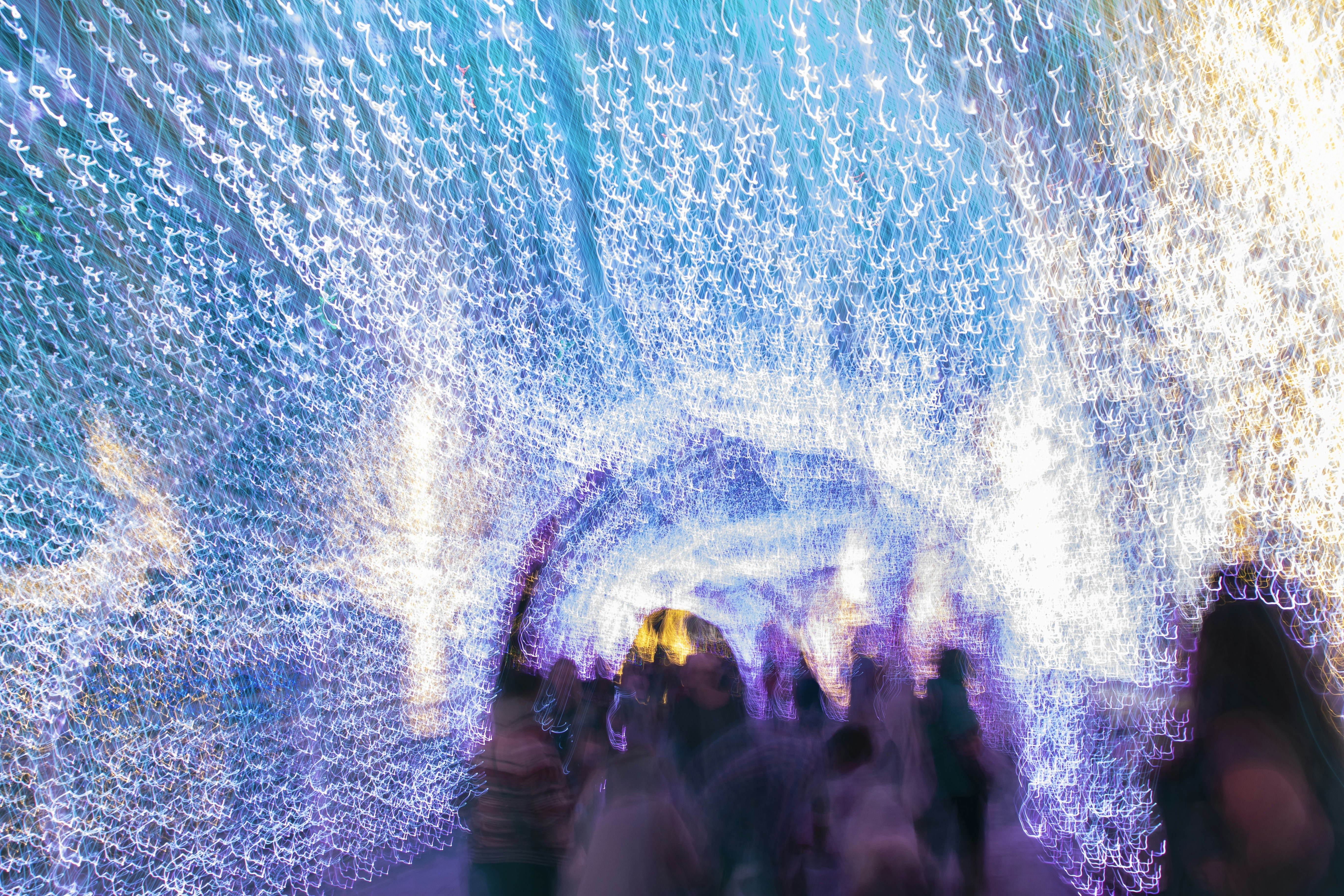 Photo by rocinante_11