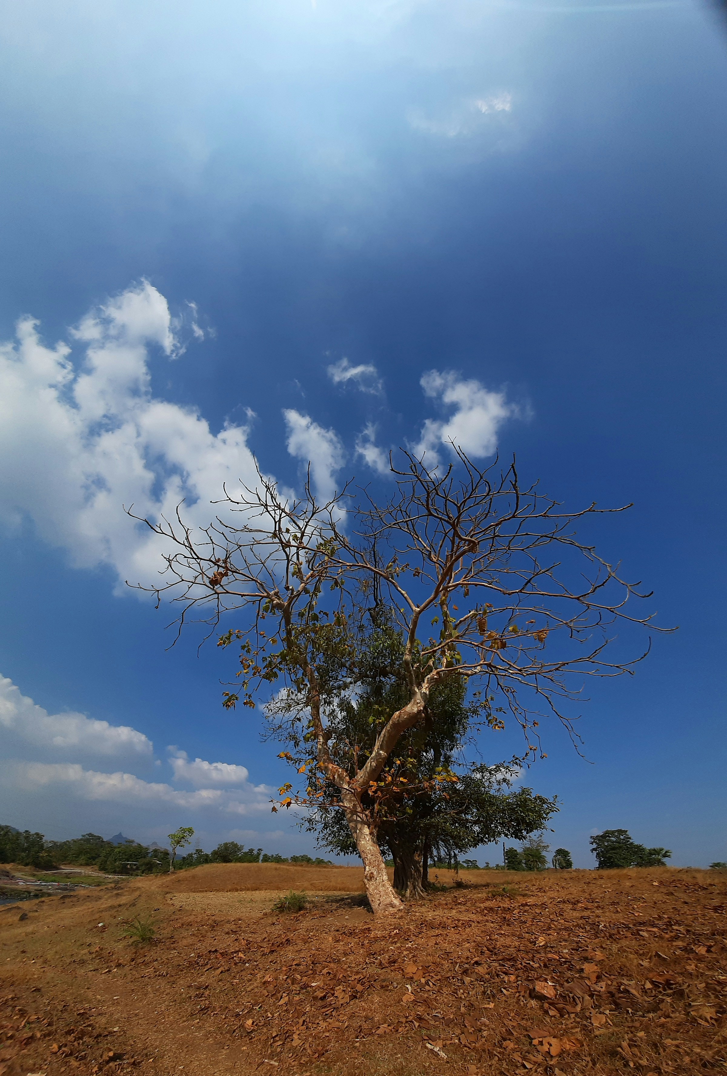 Photo by vedanshu_kadu