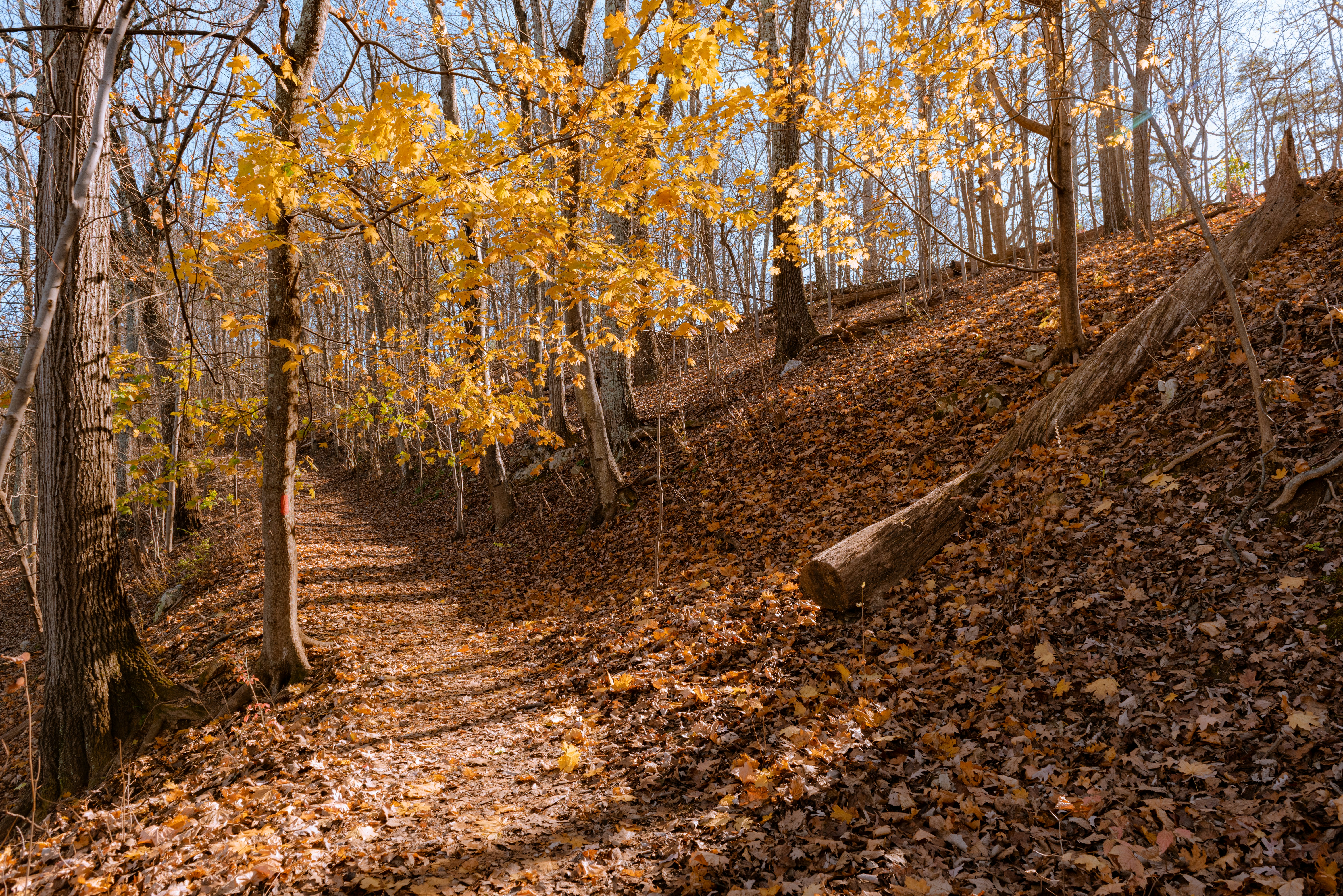 Photo by drewdempsey