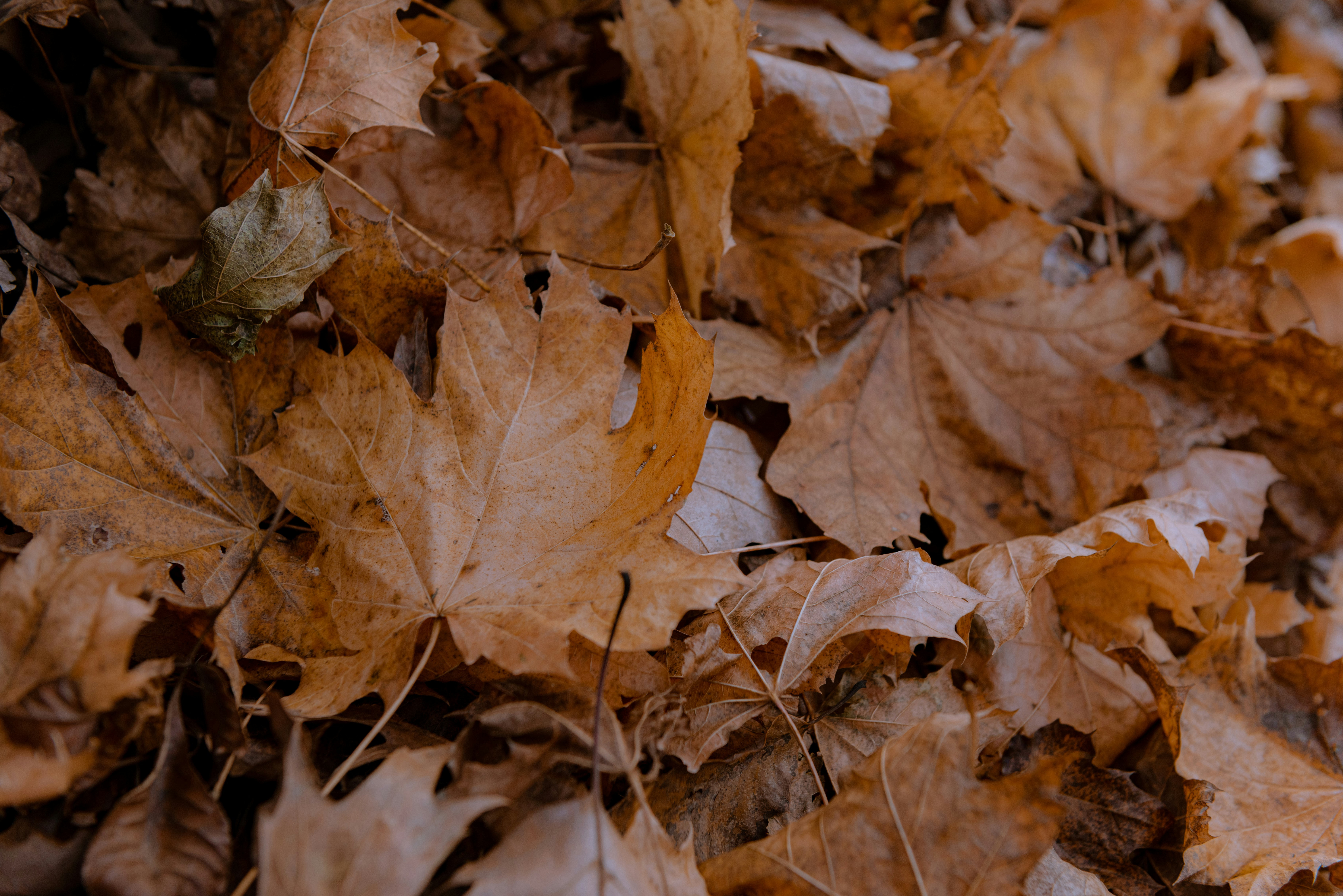 Photo by drewdempsey