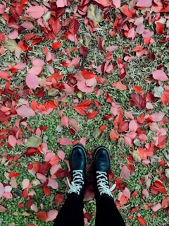 Bright red high heels displayed on a rustic wooden bench surrounded by autumn leaves
