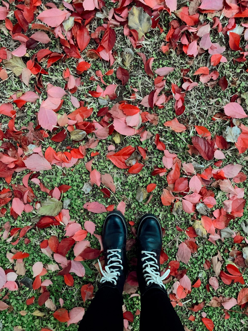 person wearing black and white sneakers standing on red leaves