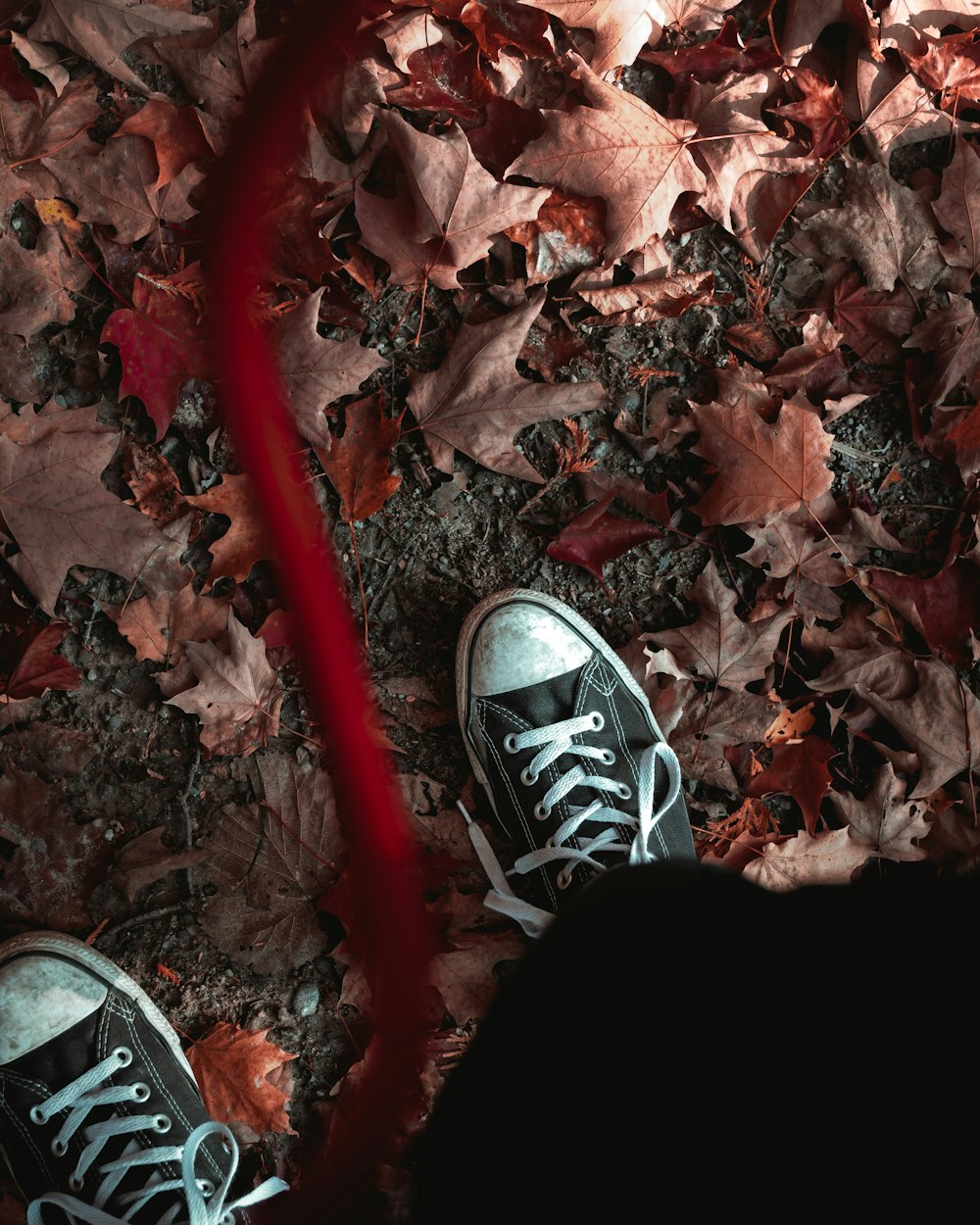 person wearing black pants and black and white sneakers standing on dried leaves