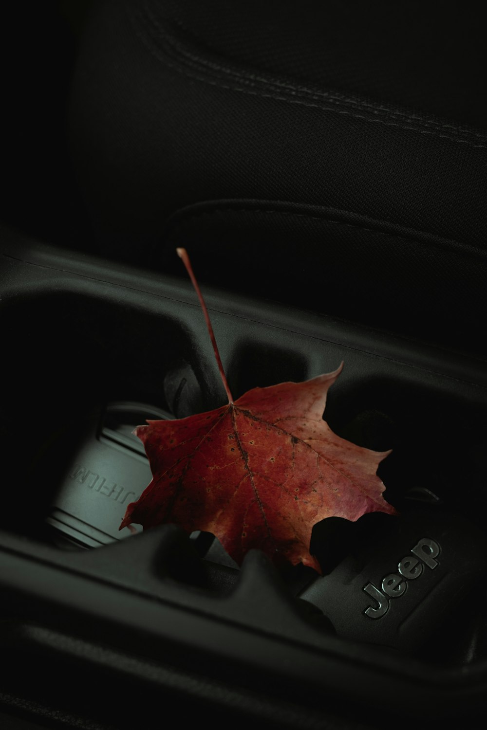 red maple leaf on black car dashboard