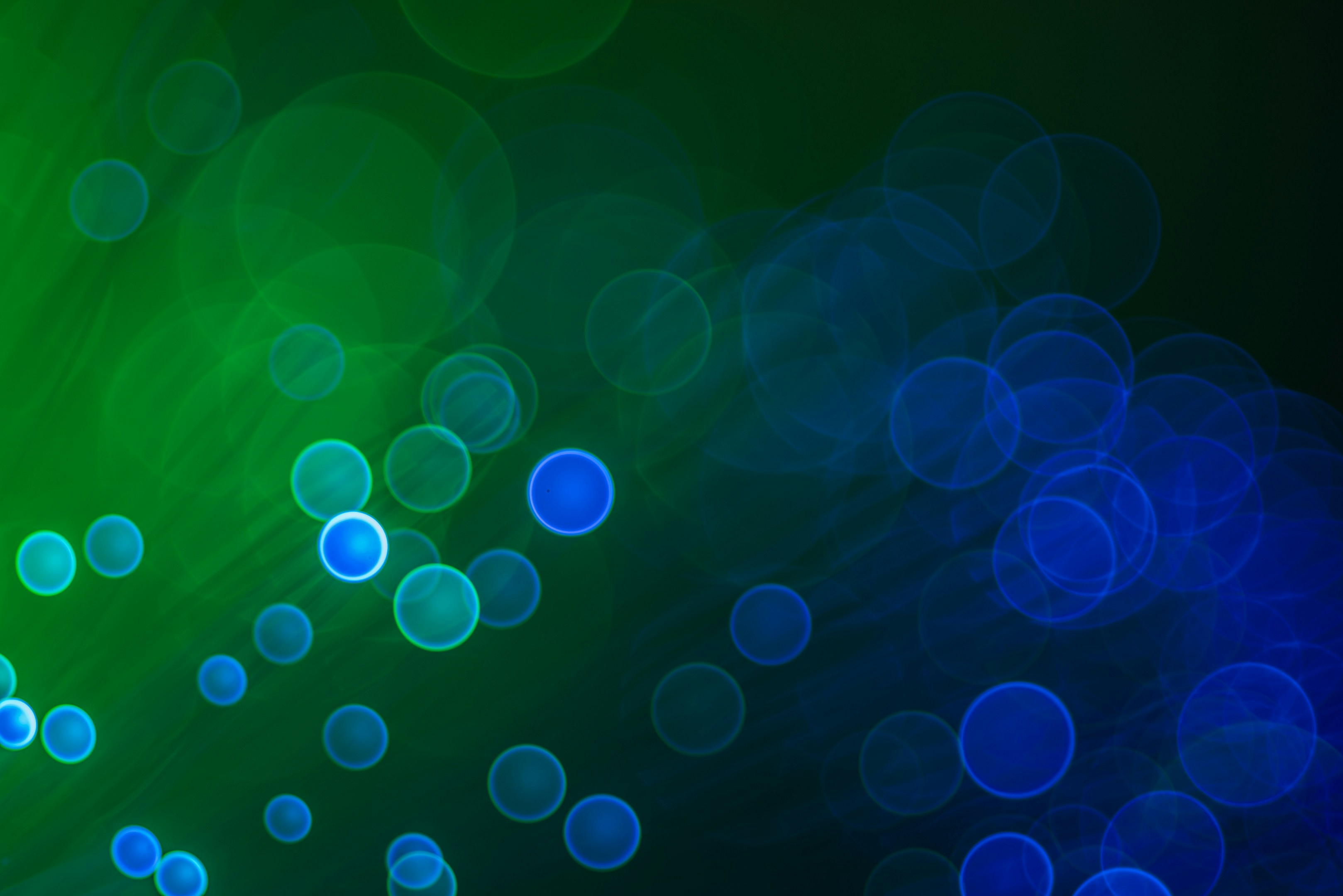 Crazy Rich Coin header image