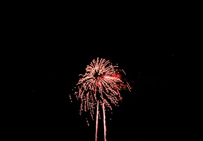 A vibrant red firework bursts open against a dark night sky, displaying intricate patterns of light with long, trailing sparks falling downward.