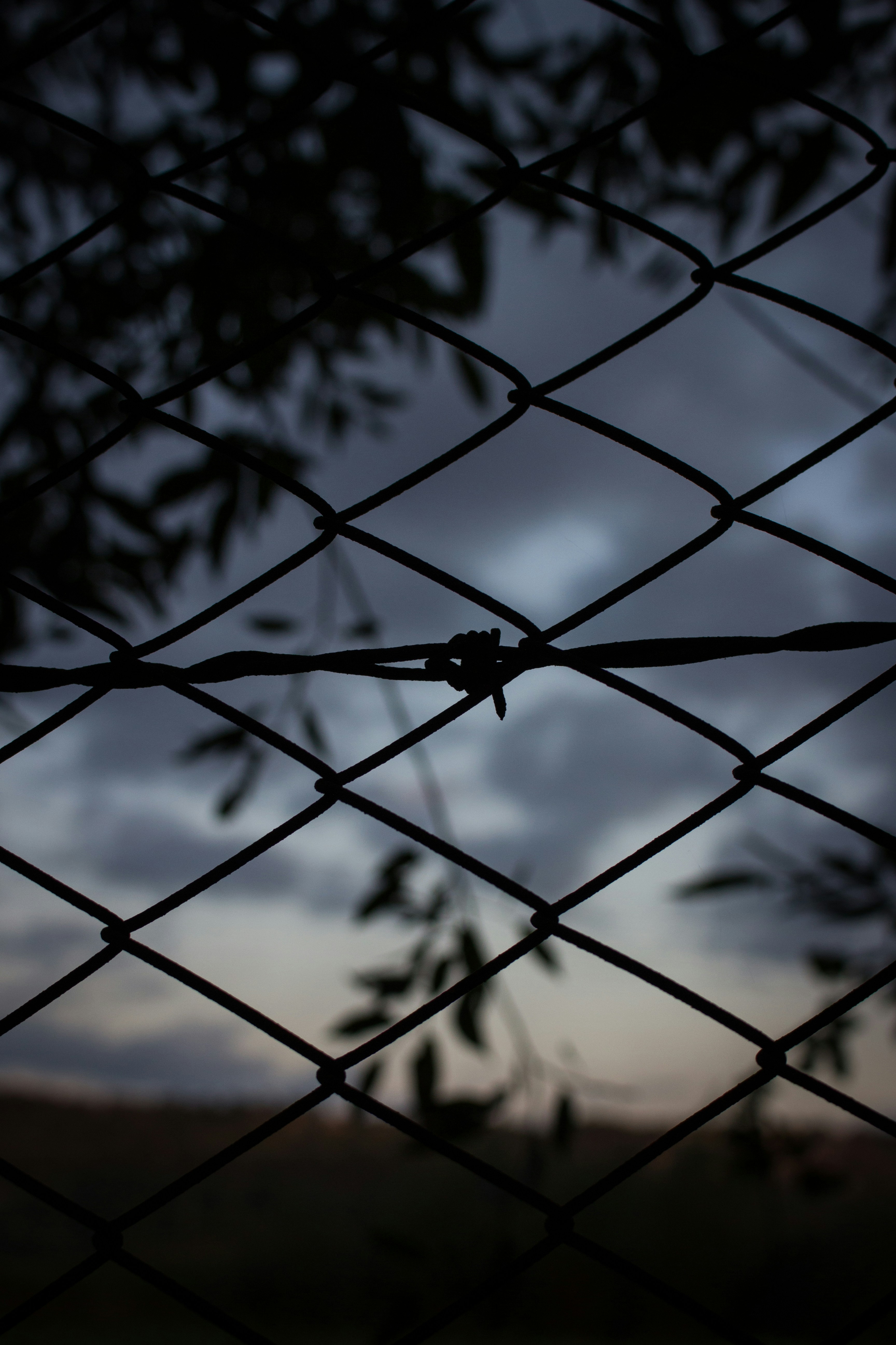 Photo by roman_lupan