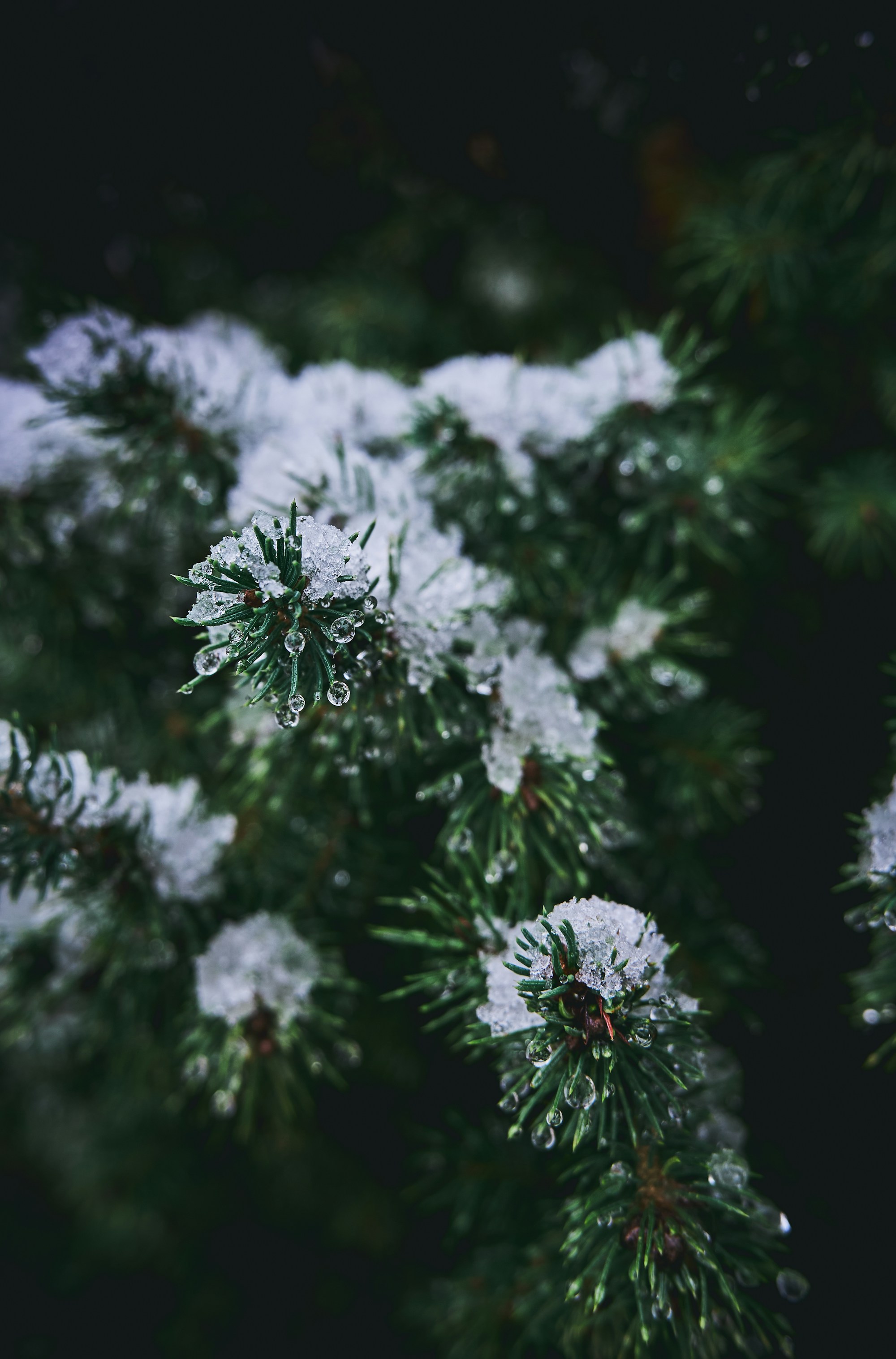 Best Time to Visit Busto Arsizio: Weather, Seasons & Months