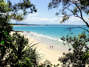 people on beach during daytime