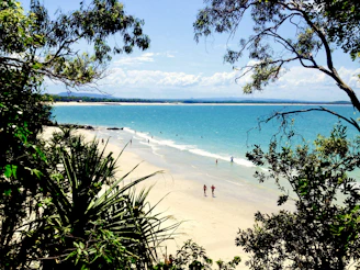 people on beach during daytime