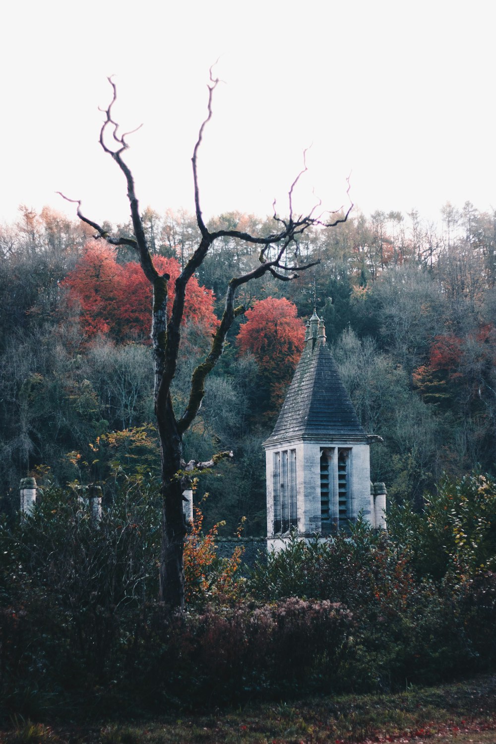 white and gray house surrounded by trees